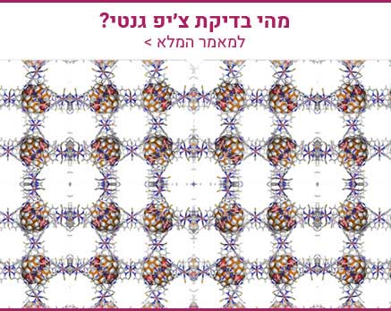 בדיקת צ'יפ גנטי