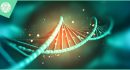 Amniocentesis:3 different levels of information.
