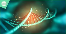 Amniocentesis:3 different levels of information.
